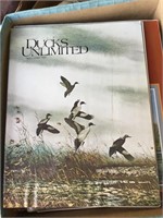 Collection Of Ducks Unlimited Magazines