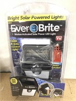 Everbrite solar LED motion activated light