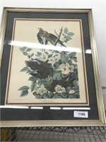 John James Audubon Print