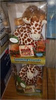 Pair of gentle giraffes