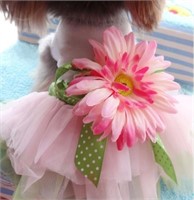 Dog Lace Dress Tutu for Small Dogs, Large