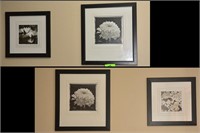 Set of 4 pictures -
