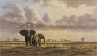 BO NEWELL "ELEPHANTS WITH INGRETS IN AMBOSELI"