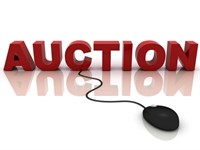 ONLINE AUCTION WEEKLY EDUCATION:
Did you know