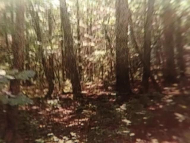 13-Invividual Wooded Lots (4+ Acres each) Pacific, MO.
