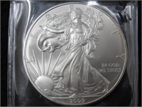 2009 Silver Eagle-