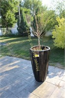 Tall black ceramic planter