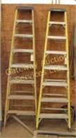 Featherlite Ladder