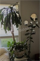 Real Tropical Plants, Plant Stand & Vase