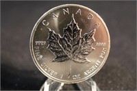 2013 Maple Leaf 1 oz .9999 silver
