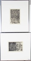 Two Framed Intaglio Prints by Cynthia Blasingham