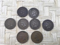 8 Old Indian Head Pennies
