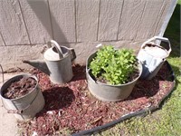 GALVANIZED PAILS & BUCKETS FOR PLANTERS