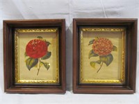 Camellia pictures, 2 x $