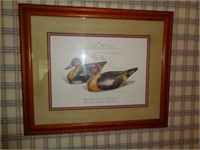 Numbered & Signed Pin Tail Duck Print and