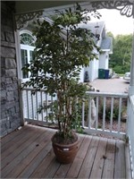 Artificial plant approximately 6 foot tall
