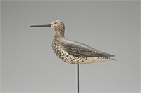 Dowitcher with Raised Primaries