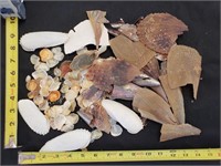 Gimarc Collection - Seashells & Coral - Lot (II)