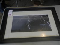 Duck's unlimited print - Lightning