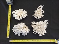Gimarc Collection - Seashells & Coral - Lot (N)