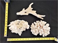 Gimarc Collection - Seashells & Coral - Lot (M)