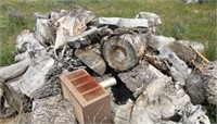 Chopped Tree Trunk Firewood Bundle