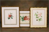 3 Duki N. Floral Watercolor Paintings
