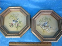 Framed bird prints