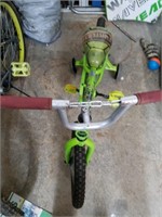 Teenage Mutant Ninja Turtles 16" Bike