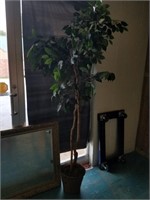 Potted tree