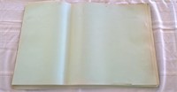 200+ Large Sheets Pale Green Paper