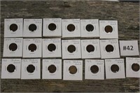 19 Indian Head Pennies