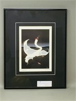 Framed print: Whooping Crane, Archie Beaulieu