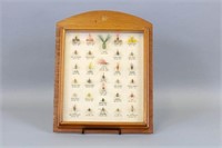 Weber Fly Display, Featuring 30 Flies In Case,