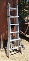 Aluminum Telescoping Multi Ladder