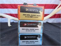 300 SHORT MAG BULLETS