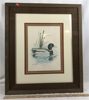 Print of Mallard Duck in Large Wooden Frame