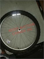 Large bike wheel