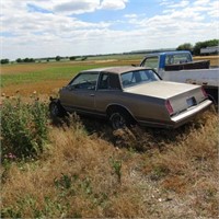 1984 Monte Carlo- salvage