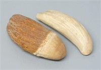 TWO SPERM WHALES TEETH - ONE POLISHED