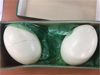 Ostrich Eggs