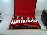 Xylophone in travel case