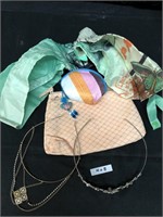 Misc. Lot Bag, Hair Clips Necklace
