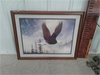 Eagle Framed picture