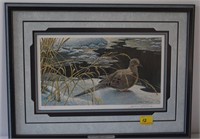 DOWN FOR A DRINK MOURNING DOVE BY ROBERT BATEMAN