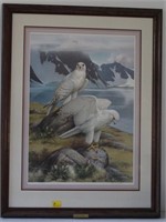 GYRFALCON BY TORY PETERSON SIGNED 315 OF 950