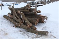 (11) Black Walnut Wood Logs