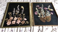 2 Framed Dried Flower Prints