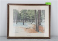 Evergreen Forest Print by Sheldon Rosenthal