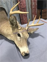 Deer head wall mount